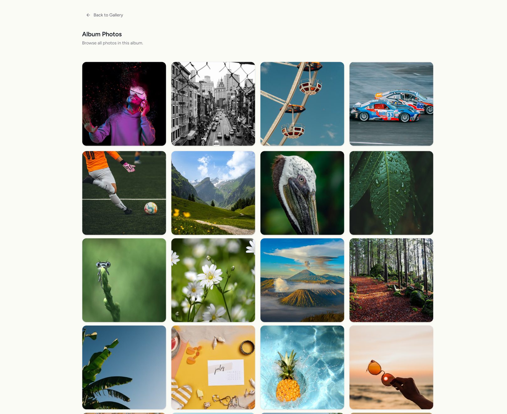 media-gallery