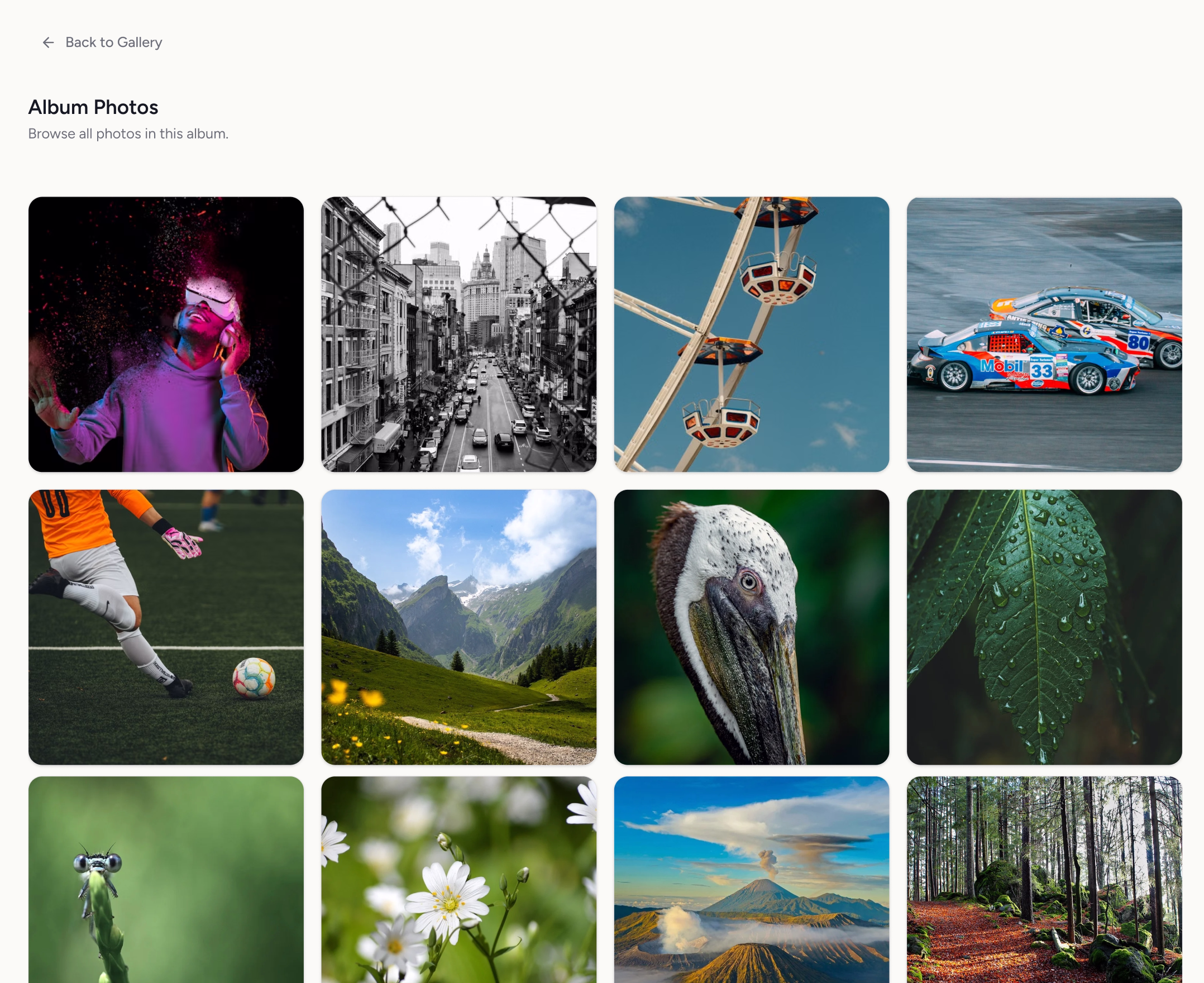 media-gallery